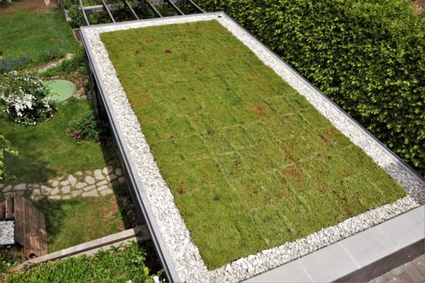 Zelené střechy Ecosedum