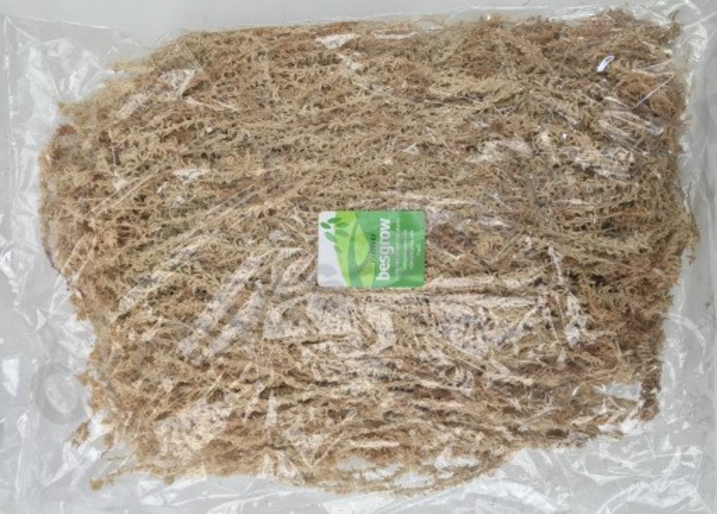 Rašeliník novozélandský extra dlouhá vlákna  | Sphagnum moss | nelisováno | 100 gramů