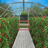 Dodatečné dveře pro obloukový skleník LANITPLAST GLADUS LG3110