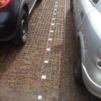 Ecoraster - Parkovací značka – malá; 5.6cm