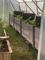 Náhradní fólie pro fóliovník RB2/6