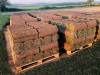 Trávníkový koberec /k vlastní pokládce/