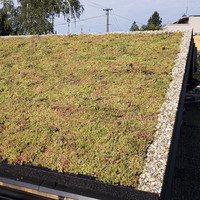 Zelená střecha ECOSEDUM Pack 65 – osázený